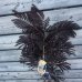 Albizia julibrissin (Albízia čokoládová )´SUMMER CHOCOLATE´® -kont. C10L, výška 150-170 cm - VIACKMENNÁ
